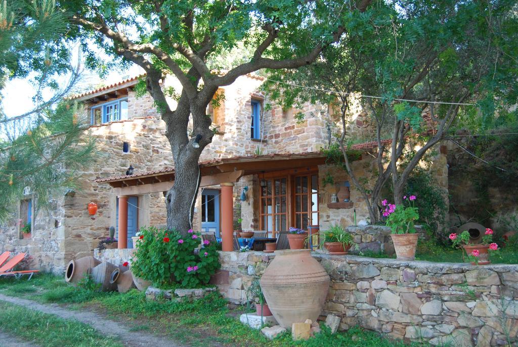 קרפס Villa Spiti Elaionas מראה חיצוני תמונה